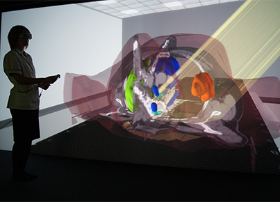 Immersive VERT image 2